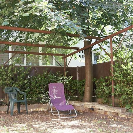 Casa Cu Tei Διαμέρισμα Κλουζ-Ναπόκα Εξωτερικό φωτογραφία