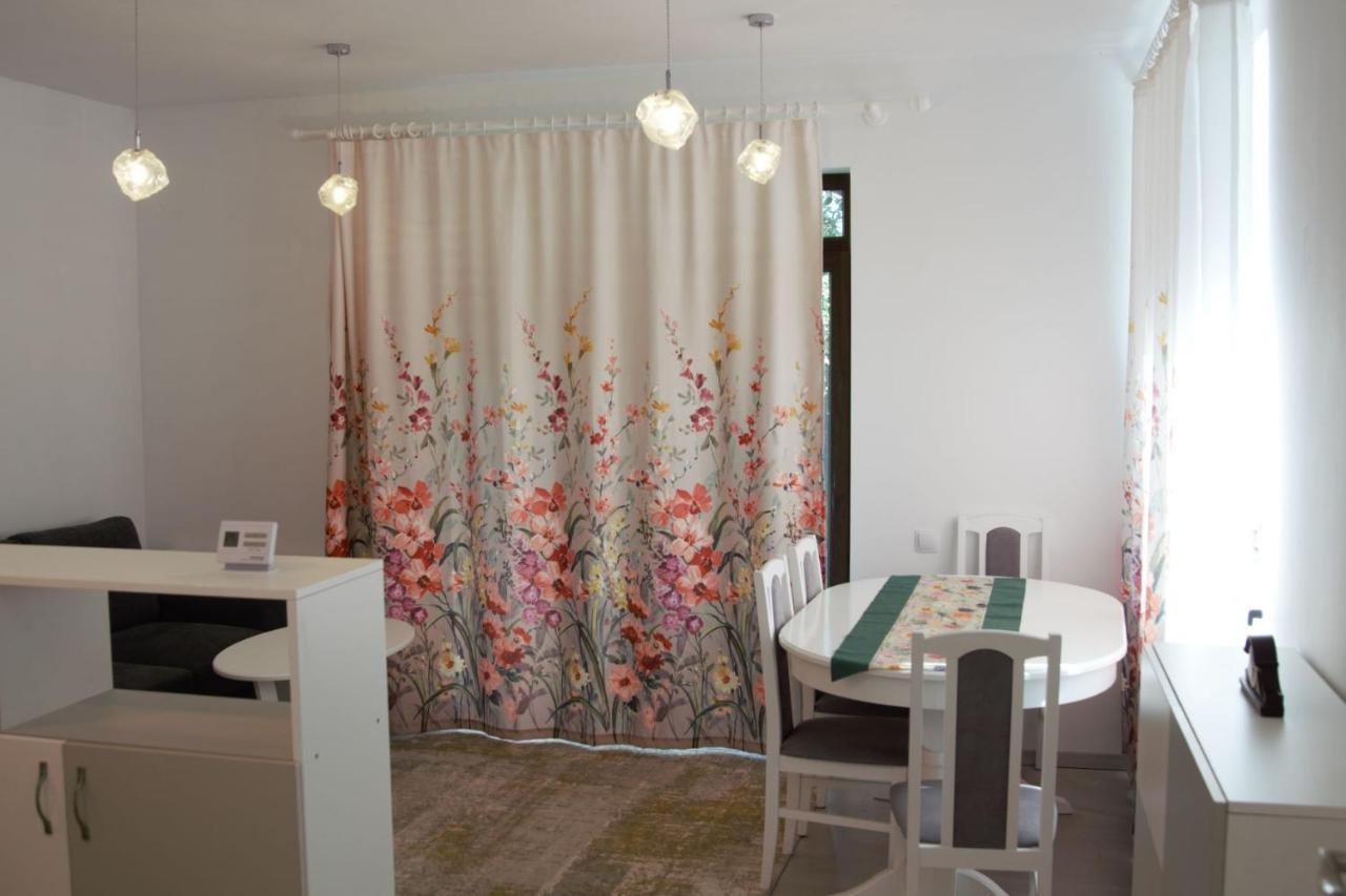 Casa Cu Tei Διαμέρισμα Κλουζ-Ναπόκα Εξωτερικό φωτογραφία