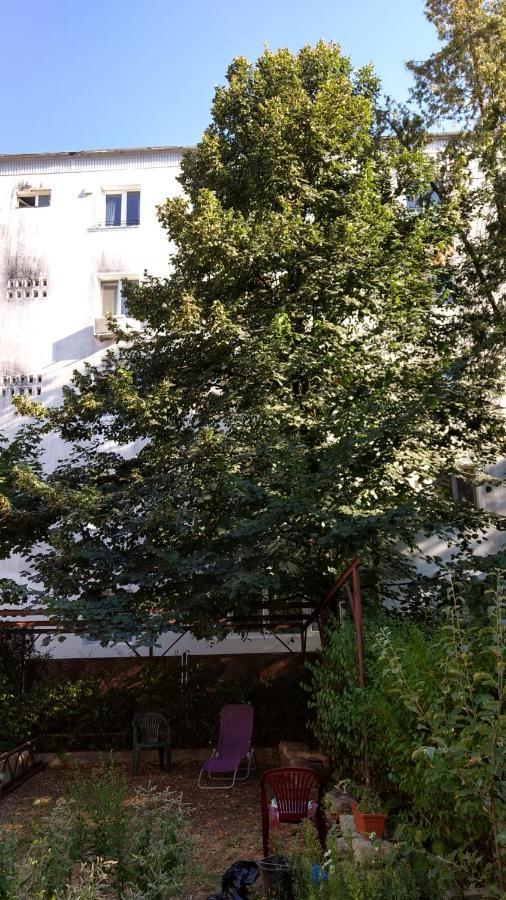 Casa Cu Tei Διαμέρισμα Κλουζ-Ναπόκα Εξωτερικό φωτογραφία